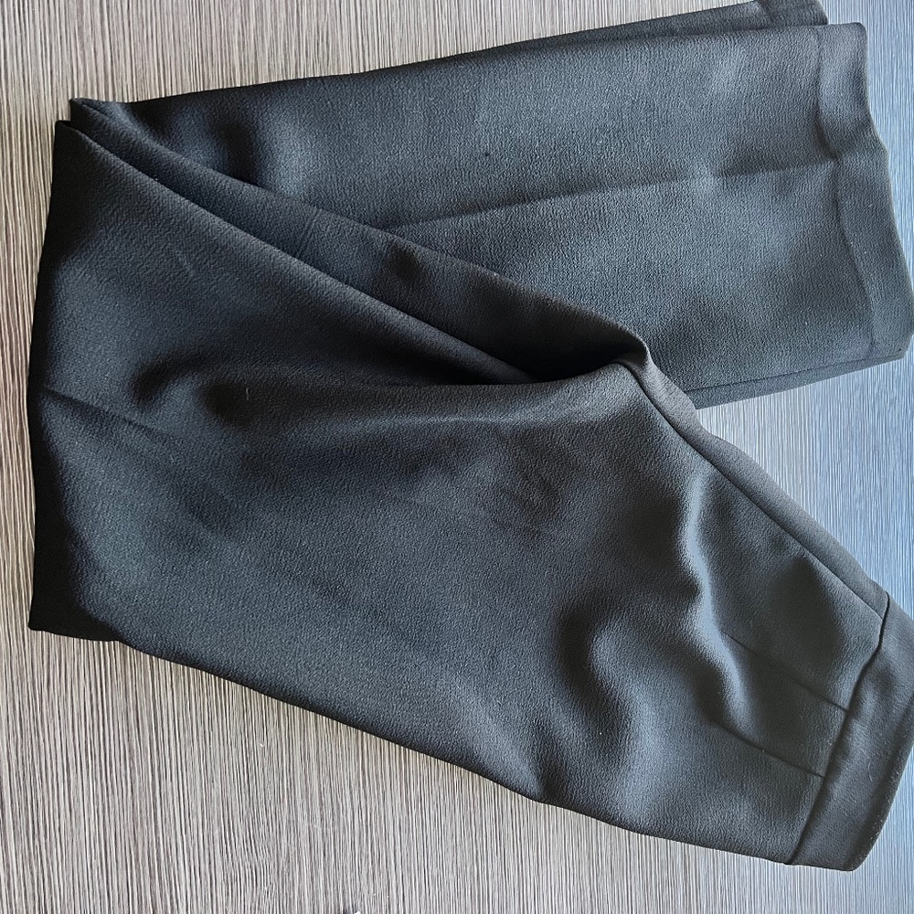 Wide Leg Express Dress Pants size 2